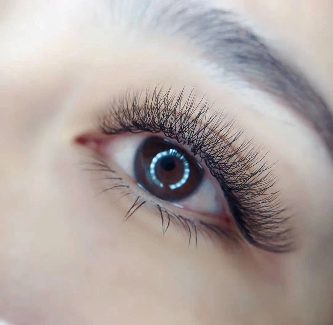 fly eyelashes