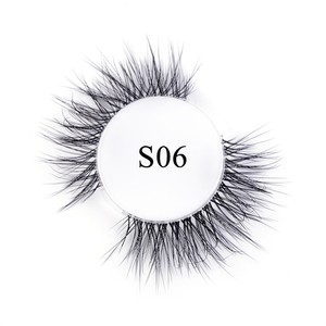 S06 S06