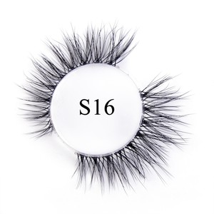 S16 S16