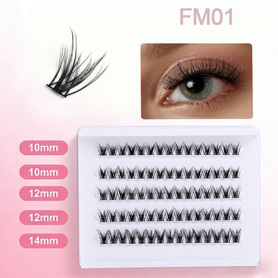 FM01 FM01